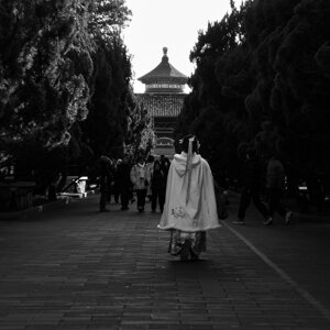p1033207.jpeg