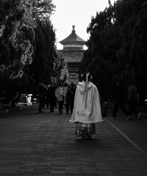 p1033178.jpeg