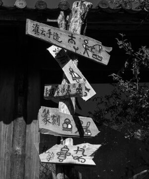dsc08266.jpeg dsc08266.jpeg