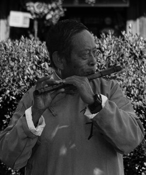 dsc08236.jpeg dsc08236.jpeg