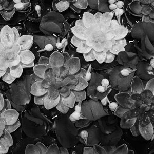 dscf6170.jpeg dscf6170.jpeg