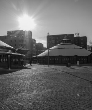 p1032748-migliorato-nr_1.jpeg