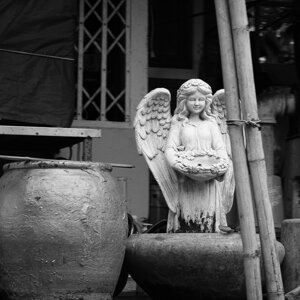 dscf6394.jpeg dscf6394.jpeg