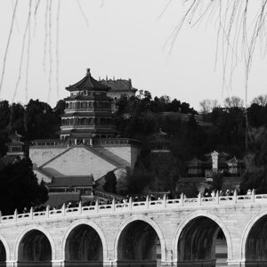 p1033078-migliorato-nr.jpeg