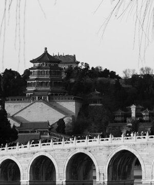 p1033049.jpeg