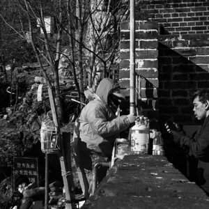 p1033156.jpeg