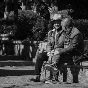 dsc08156.jpeg dsc08156.jpeg