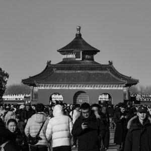p1033181-migliorato-nr.jpeg
