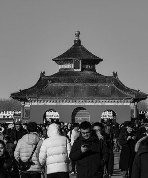 p1033199.jpeg