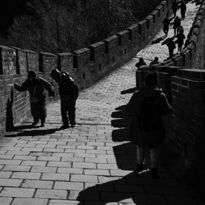 p1033161.jpeg
