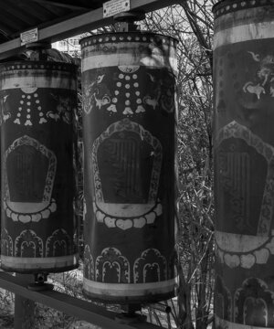 p1032750-migliorato-nr.jpeg