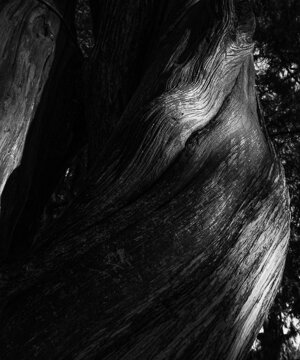 p1033198-migliorato-nr.jpeg