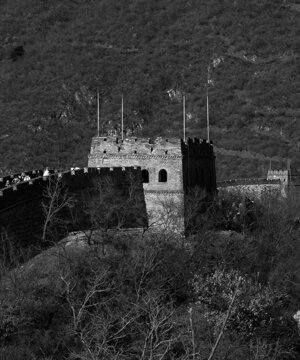 p1033101-migliorato-nr.jpeg