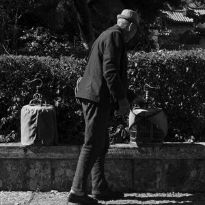 dsc08196.jpeg dsc08196.jpeg