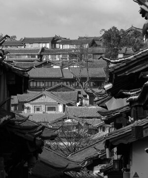 dsc08017.jpeg dsc08017.jpeg