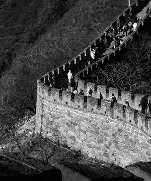 p1033109.jpeg