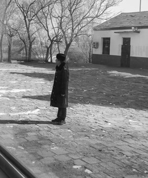 p1032983_1.jpeg