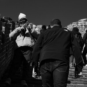 p1033163.jpeg