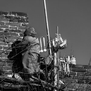 p1033173_1.jpeg