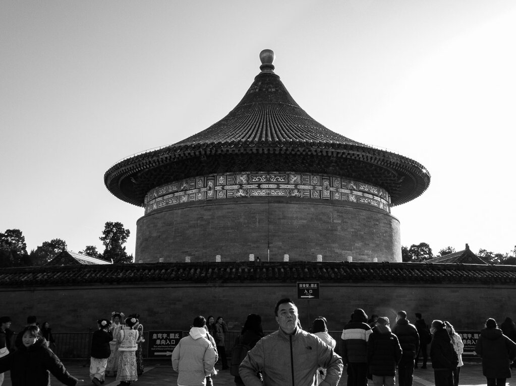 p1033207.jpeg