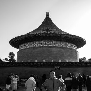 p1033199.jpeg