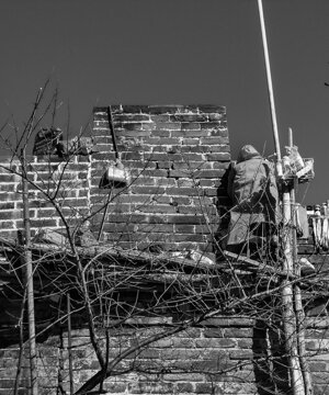 p1033173.jpeg