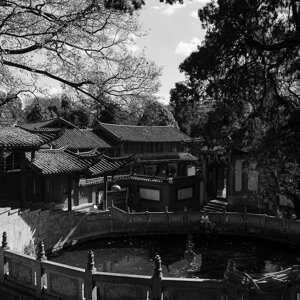 dsc08257.jpeg dsc08257.jpeg