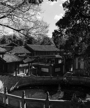 dsc08233.jpeg dsc08233.jpeg