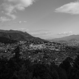 dsc08142.jpeg dsc08142.jpeg