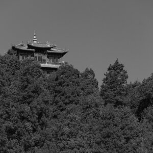 dsc08075.jpeg dsc08075.jpeg