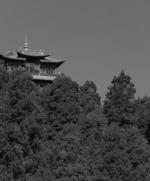 dsc08171.jpeg dsc08171.jpeg