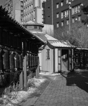 p1032749-migliorato-nr.jpeg