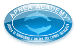 logo_aa_big (1)