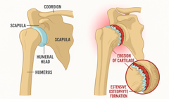 chatgpt image 2 nov 2025, 11_48_59 chatgpt image 2 nov 2025, 11_48_59