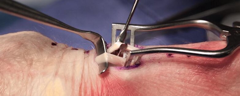 2063corrected.jpeg 2063corrected.jpeg