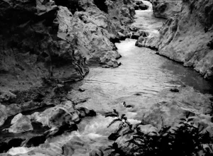 fish-eye-photohrapher-raffaella-franci.webp fish-eye-photohrapher-raffaella-franci.webp