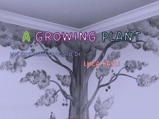 screenshot 2024-12-09 165328