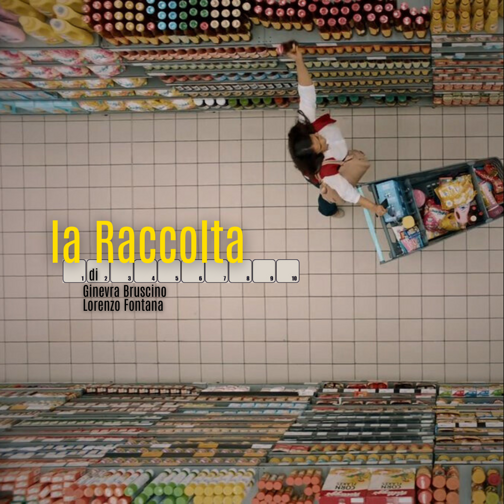 la raccolta_insta (1) (1)