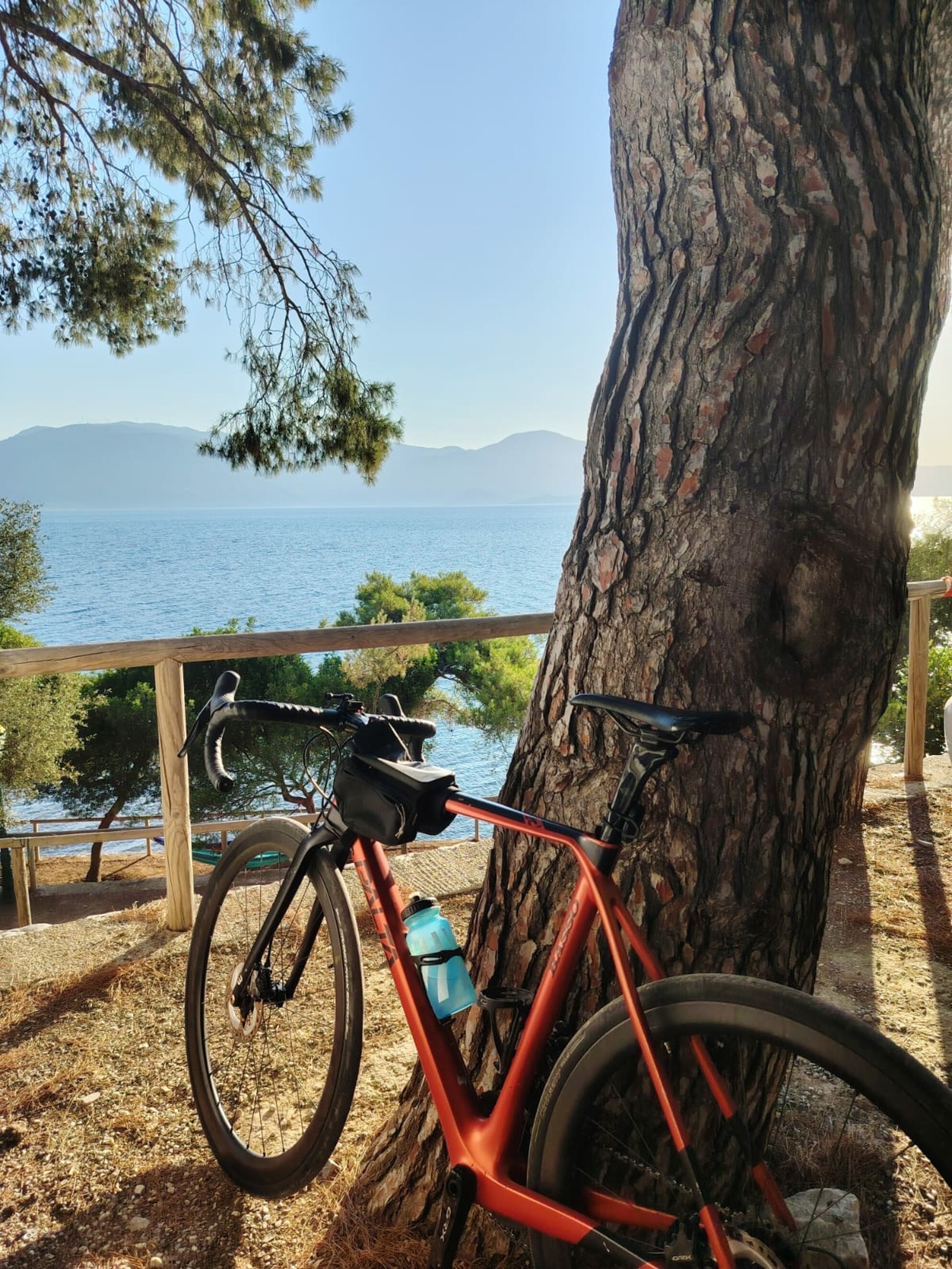 foto per sezione contatti sito sunflowers.jpeg