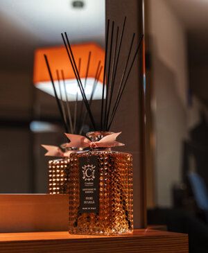 _dsc9560%202.jpeg _dsc9560%202.jpeg