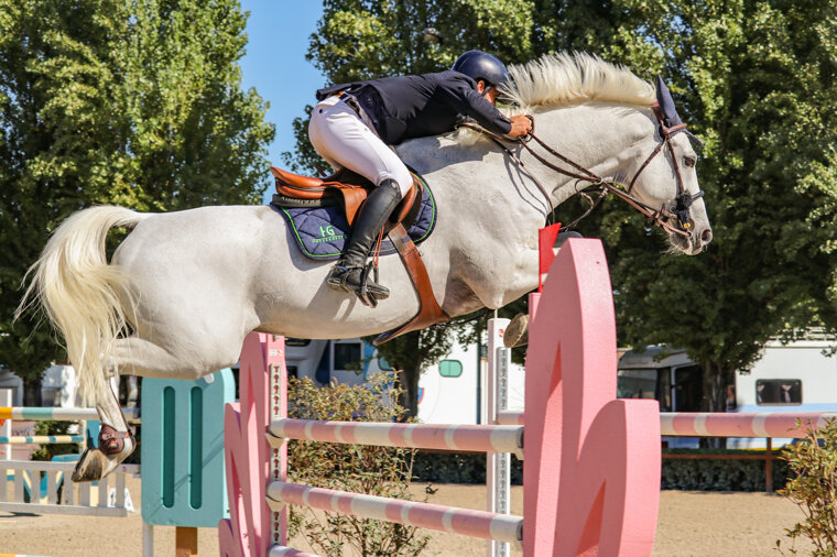 img_1258.jpeg img_1258.jpeg