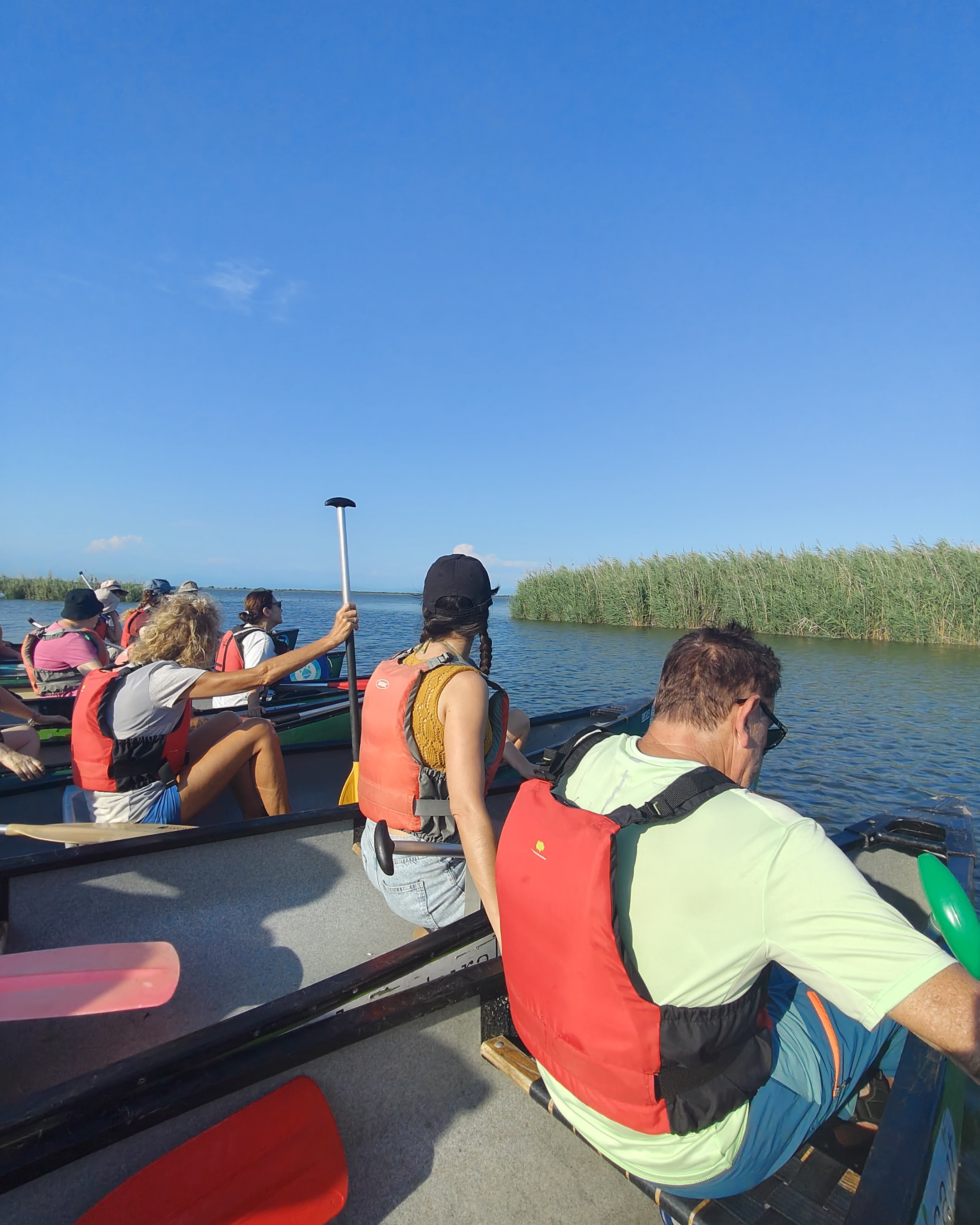 BioTiles: the first outing along the Stella River and the Marano Lagoon BioTiles: the first outing along the Stella River and the Marano Lagoon
