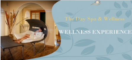 wellness-experience