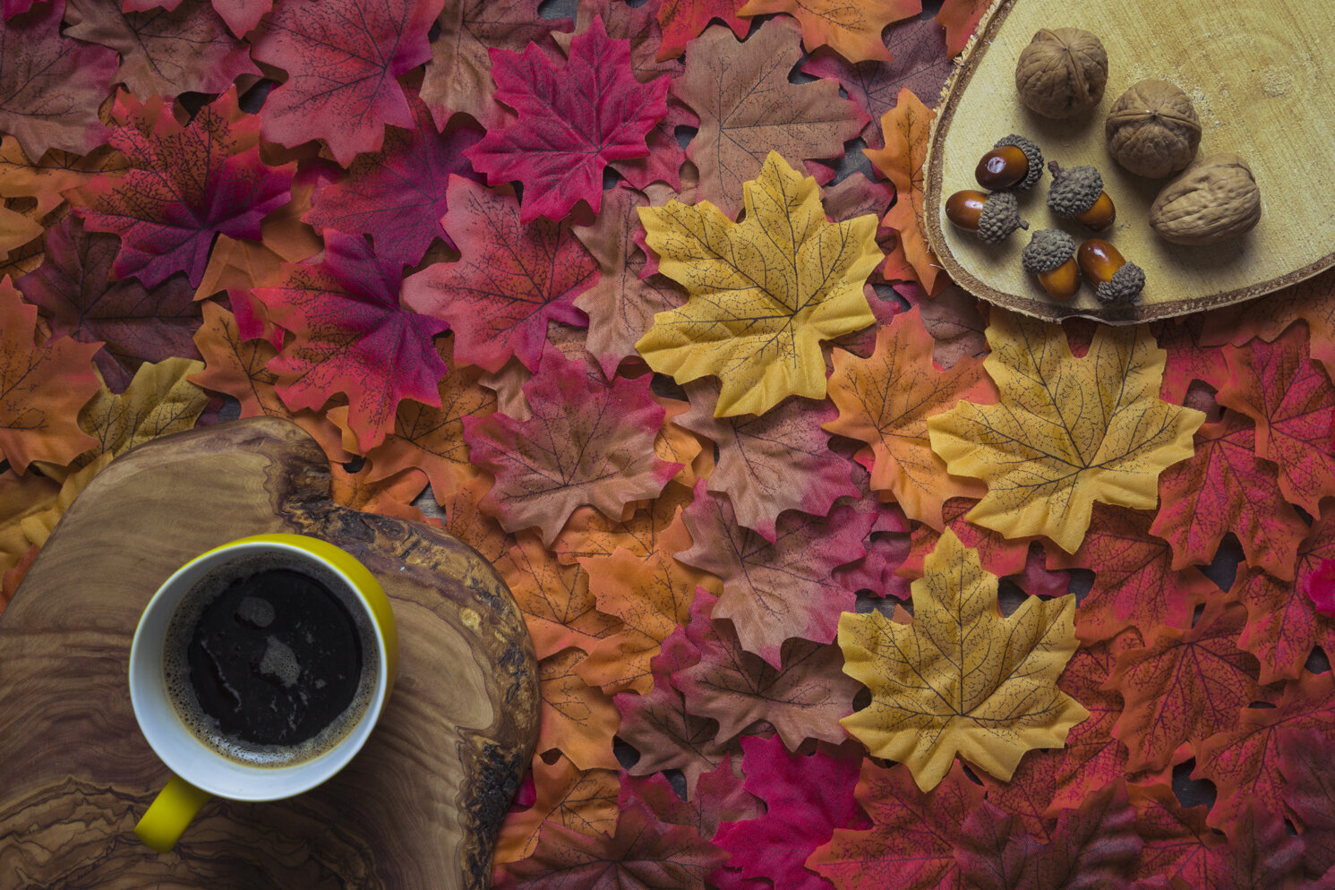 autunno_big.jpeg
