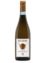 hator-verdicchio-dei-castelli-di-jesi-doc-classico-superiore