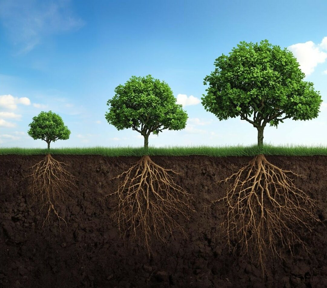 progetto senza titolo (2).jpeg