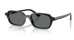 rayban-4455