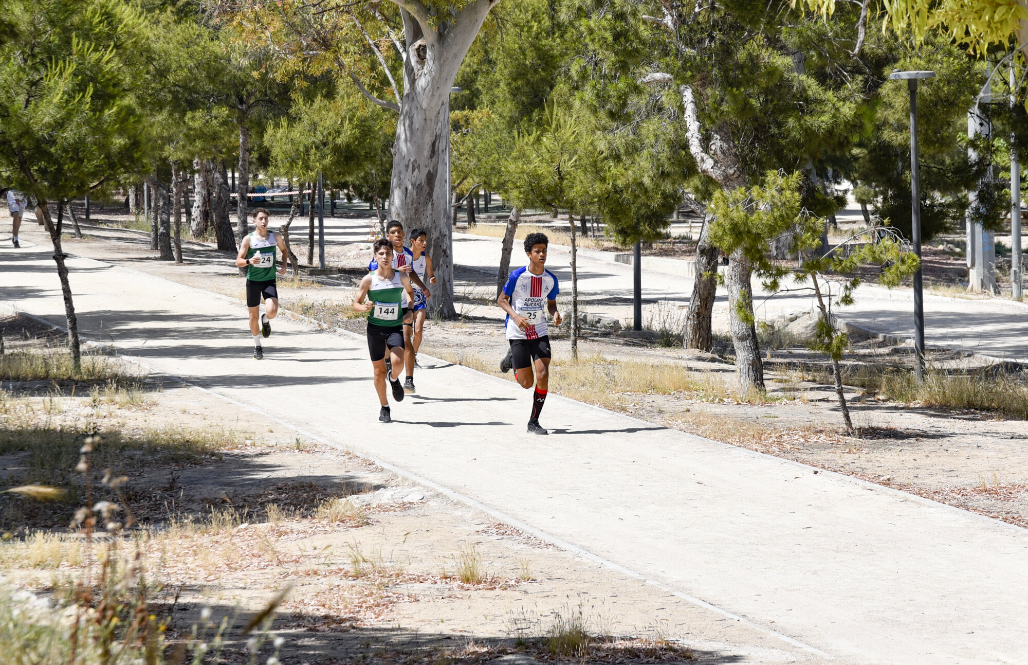 _dsc7743_1.jpeg _dsc7743_1.jpeg