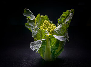 _dsc4723-2.jpeg