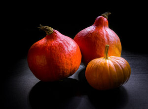 _dsc4731-2.jpeg